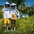 Skarpetki Pszczoły i miód